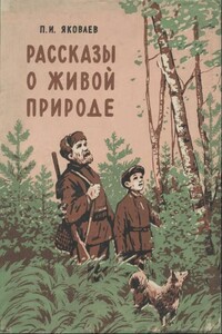 Рассказы о живой природе