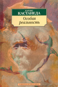 Особая реальность (перевод Останина и Пахомова)