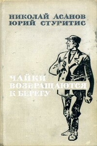 Чайки возвращаются к берегу. Книга 2