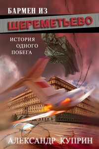 Бармен из Шереметьево. История одного побега