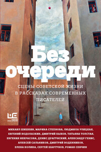 Без очереди. Сцены советской жизни в рассказах современных писателей