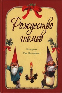 Rozhdestvo gnomov