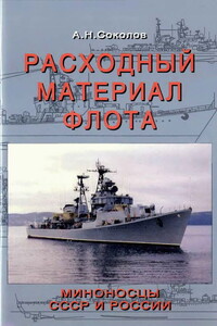 Расходный материал флота. Миноносцы СССР и России