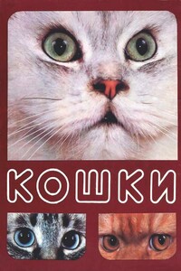 Кошки