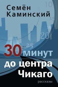 30 минут до центра Чикаго