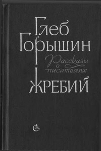 Жребий. Рассказы о писателях