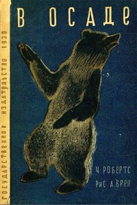 В осаде