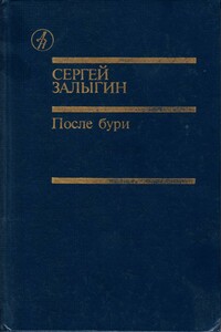 После бури. Книга 2