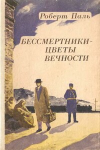 Бессмертники — цветы вечности