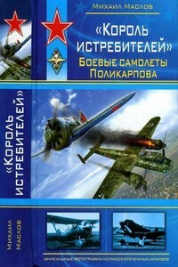 «Король истребителей». Боевые самолеты Поликарпова