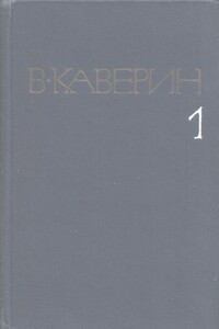 Скандалист, или Вечера на Васильевском острове