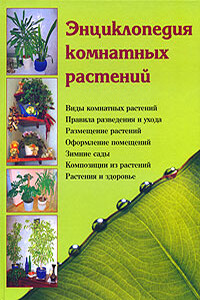 Энциклопедия комнатных растений