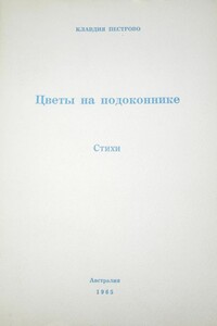 Цветы на подоконнике