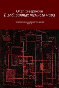 В лабиринтах тёмного мира. Том 2