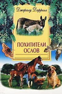 Ослокрады