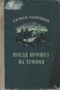 Поезд пришел на Тумнин