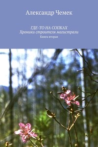 Где-то на сопках. Хроники строителя магистрали. Книга 2