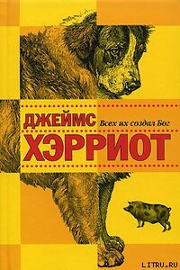 И все они - создания природы (Всех их создал Бог)