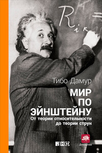 Мир по Эйнштейну. От теории относительности до теории струн