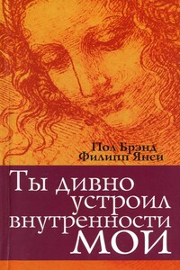 Ты дивно устроил внутренности мои