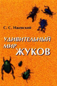 Удивительный мир жуков