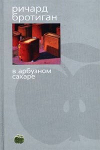 Аборт. Исторический роман 1966 года