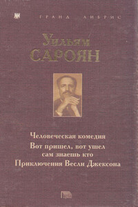 Человеческая комедия. Вот пришел, вот ушел сам знаешь кто. Приключения Весли Джексона