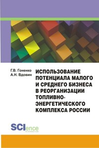 Использование потенциала малого и среднего бизнеса в реорганизации топливно-энергетического комплекса России. Монография