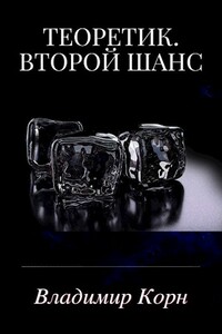 Теоретик. Второй шанс